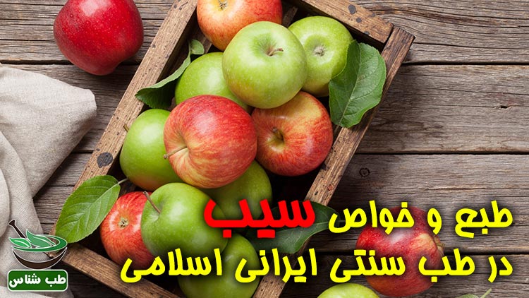 طبع-سیب-زرد-سرخ-در-طب-سنتی-ایرانی-اسلامی