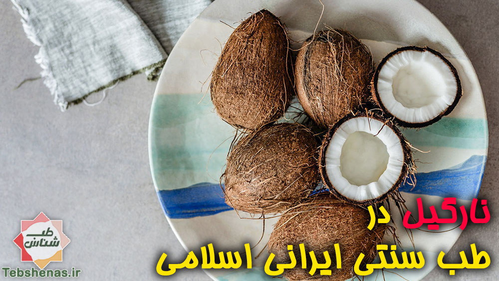 نارگیل در طب سنتی ایرانی اسلامی