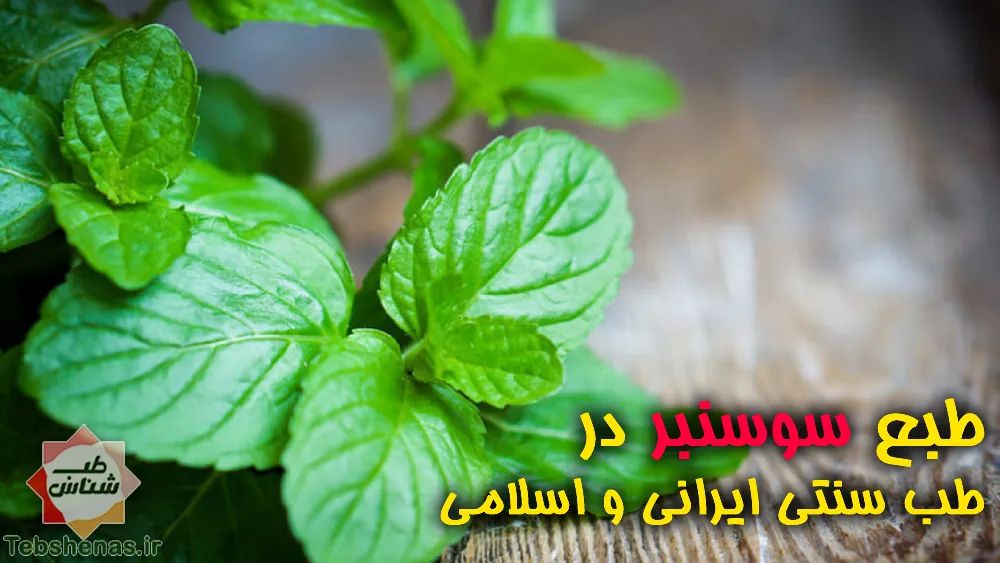 طبع و خواص سوسنبر در طب سنتی ایرانی و اسلامی