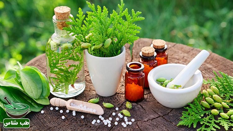11-مسکن-گیاهی-در-طب-سنتی-برای-تسکین-درد