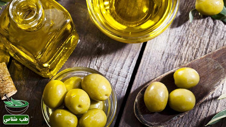 طبع-و-خواص-زیتون-در-طب-سنتی-برگ-و-روغن|طبع-زیتون-در-طب-سنتی-مصلحات-برگ-و-روغن