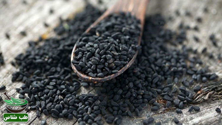 طبع-و-خواص-سیاه-دانه-در-طب-سنتی-ایرانی-اسلامی|طبع-سیاد-دانه-در-طب-سنتی