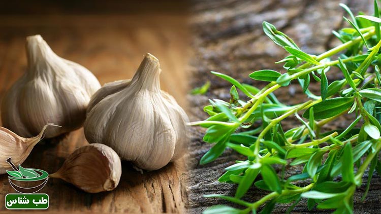 اگر-سیر-نمی-خورید-لااقل-مرزه-بخورید