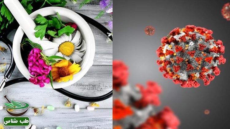درمان-کرونا-در-طب-سنتی-ایرانی-اسلامی-در منزل-کویید-19