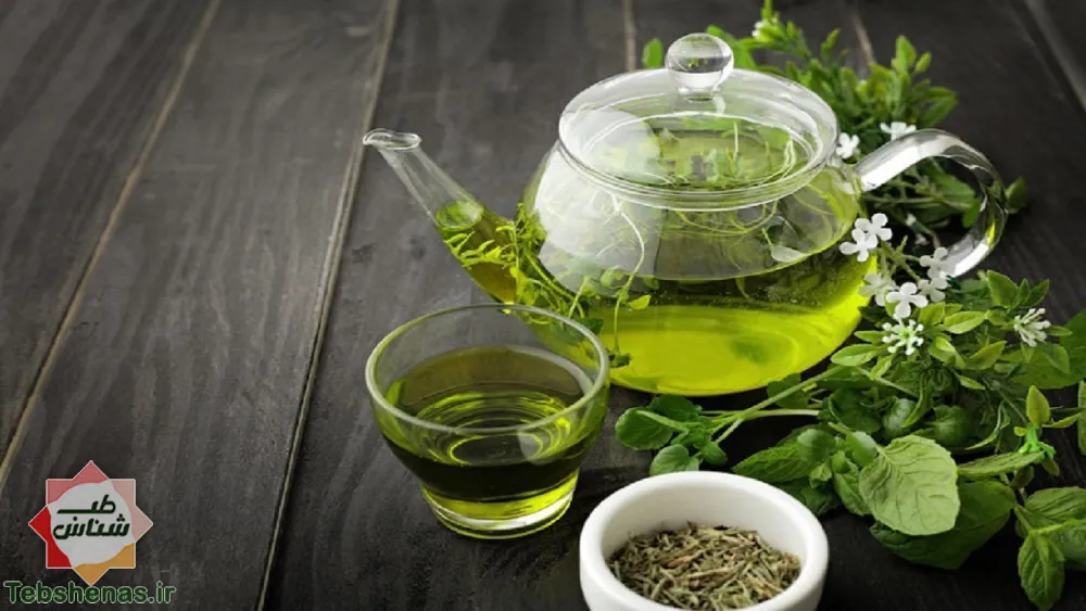 طبع و خواص چای سبز در طب سنتی|طبع-و-خواص-چای-سبز-در-طب-سنتی-ایرانی-اسلامی|طرز-تهیه-چای-سبز-در-طب-سنتی-ایرانی-اسلامی|طبع چای سبز