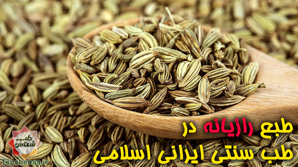 طبع رازیانه در طب سنتی اسلانی ایرانی دانه رازیانه|عوارض رازیانه|