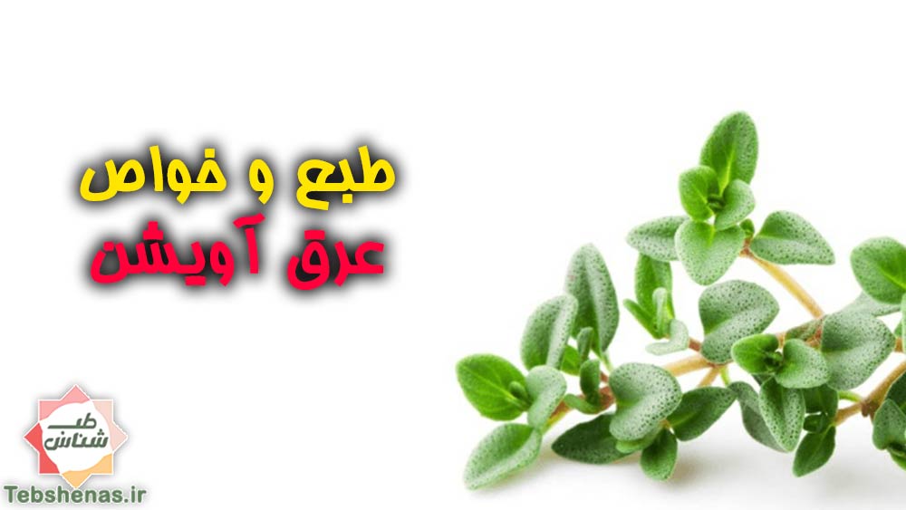 طبع-و-خواص-عرق-آویشن-در-طب-سنتی-ایرانی-اسلامی