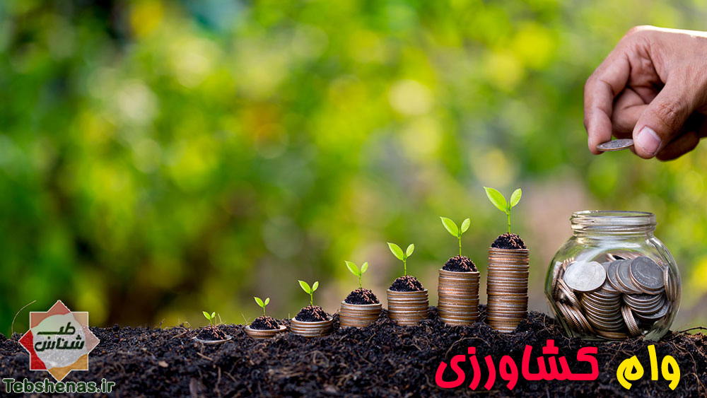 وام کشاورزی برای کاشت گیاهان دارویی