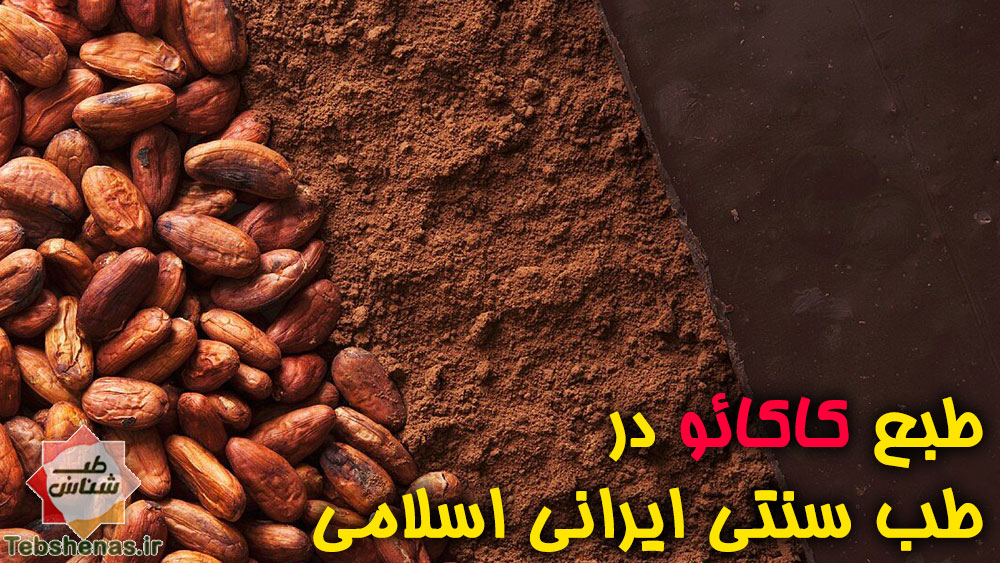 طبع کاکائو در طب سنتی ایرانی اسلامی|خواص کاکائو در طب سنتی ایرانی اسلامی|کاکائو در طب سنتی ایرانی اسلامی
