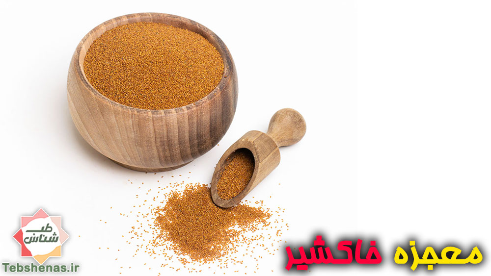 خواص و طبع خاکشیر در طب سنتی ایرانی اسلامی Descurainia sophia