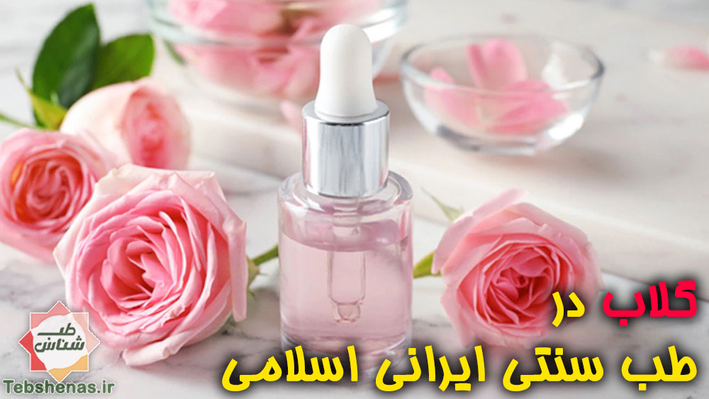 گلاب در طب سنتی ایرانی اسلامی|خواص گلاب در طب سنتی ایرانی اسلامی|طبع گلاب در طب سنتی ایرانی اسلامی