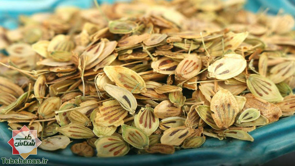 طبع گلپر در طب سنتی