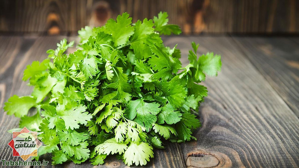 طبع و خواص سبزی گشنیز در طب سنتی