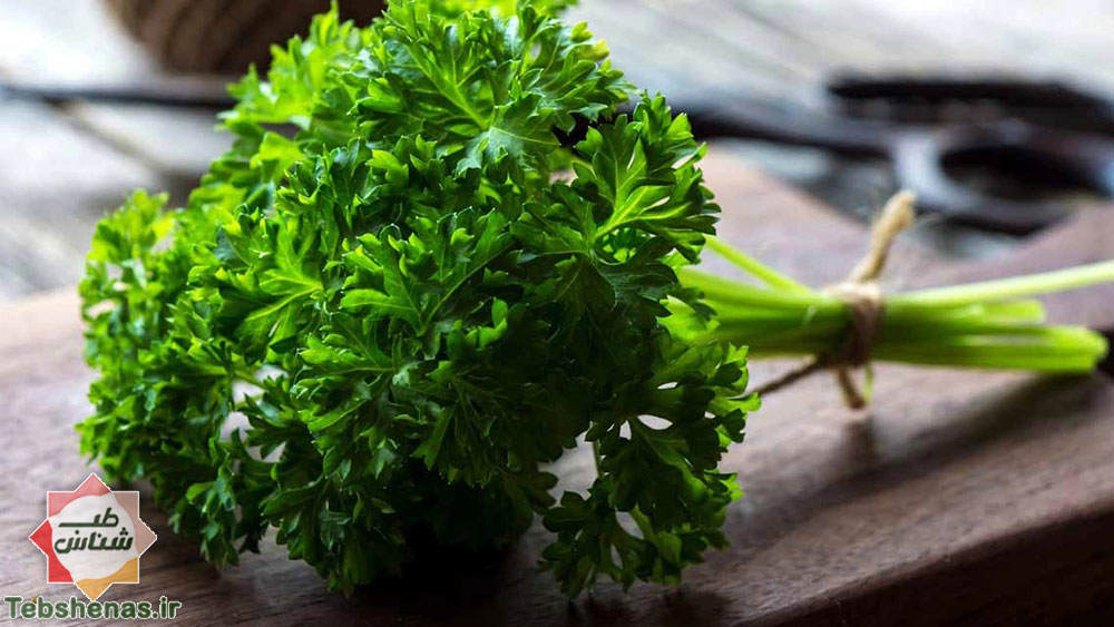 طبع و خواص سبزی جعفری در طب سنتی|طبع و خواص سبزی گشنیز در طب سنتی