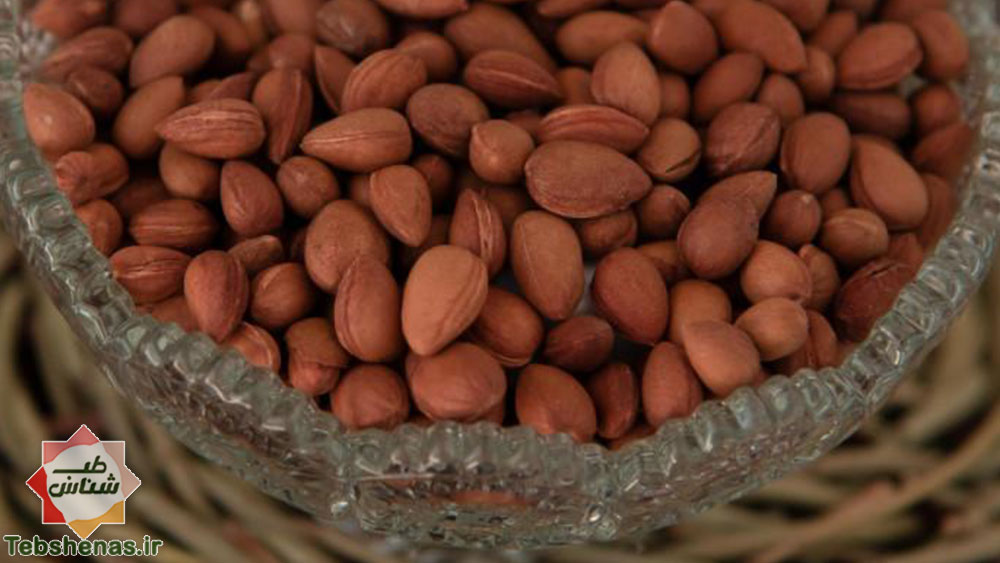 طبع و خواص بادام کوهی در طب سنتی|طبع بادام کوهی