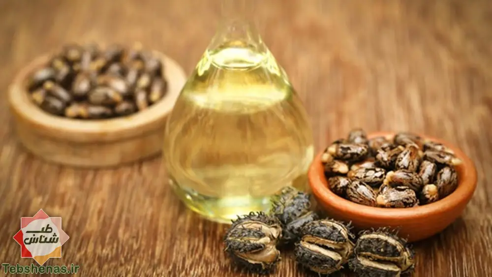 طبع-و-خواص-روغن-کرچک-در-طب-سنتی|طبع و کرچک و روغن کرچک در طب سنتی ایرانی و اسلامی