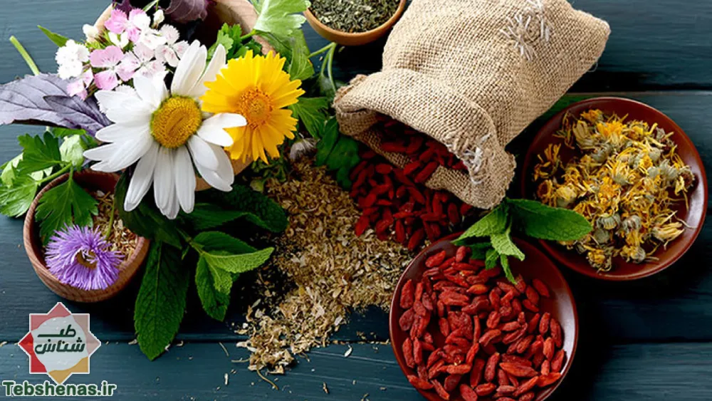 ایران رتبه چهارم تولید علم طب سنتی