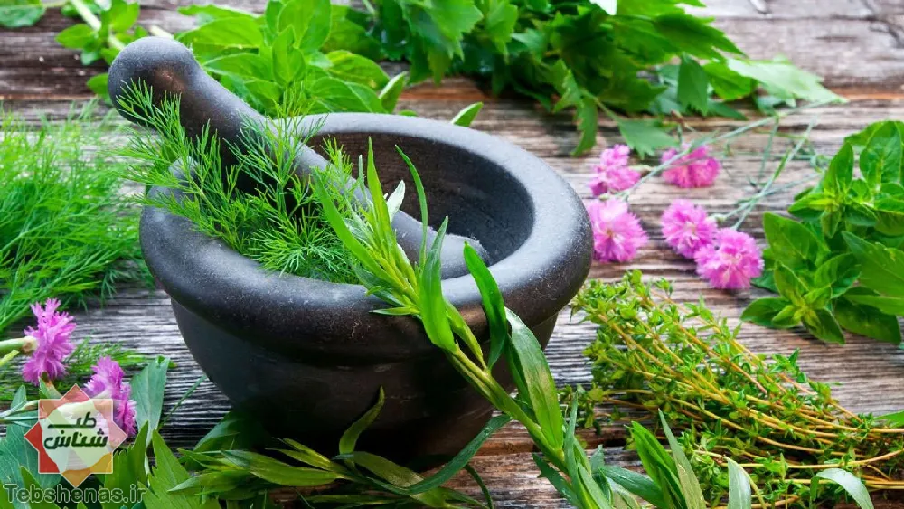 توسعه کشت گیاهان دارویی در شهر باخرز استان خراسان رضوی
