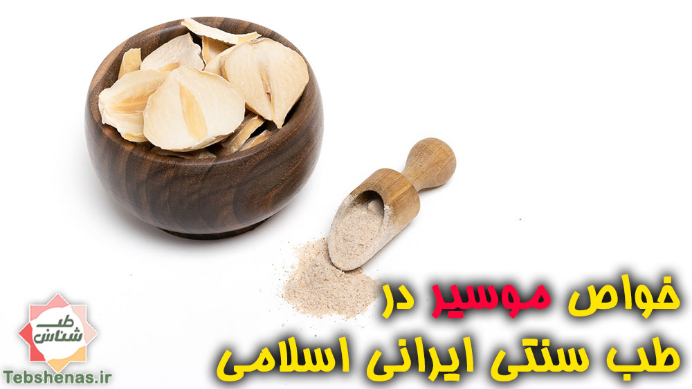 خواص و طبع موسیر در طب سنتی|طبع موسیر در طب سنتی