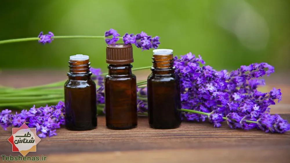 طبع و خواص روغن بنفشه در طب سنتی ایرانی و اسلامی|طبع روغن بنفشه در طب سنتی