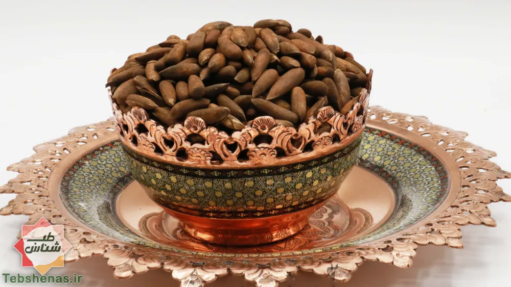 طبع و خواص چلغوز در طب سنتی|طبع و خواص چلغوز در طب سنتی ایرانی و اسلامی