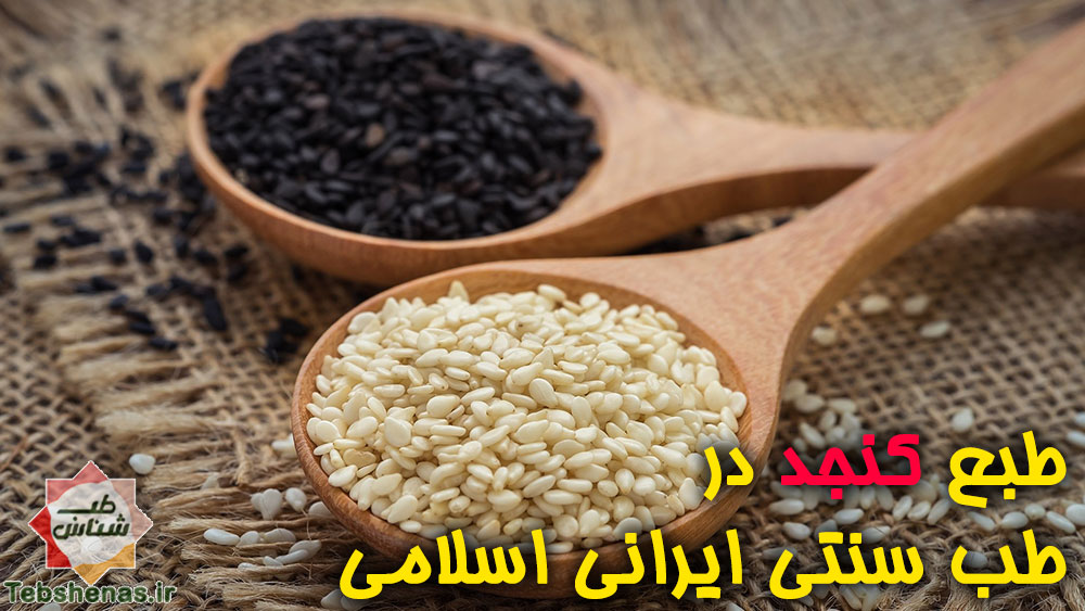 طبع کنجد سفید و سیاه ارده کنجد حلوا شکری طبع و مزاج در طب سنتی|خواص رازیانه در طب ایرانی اسلامی