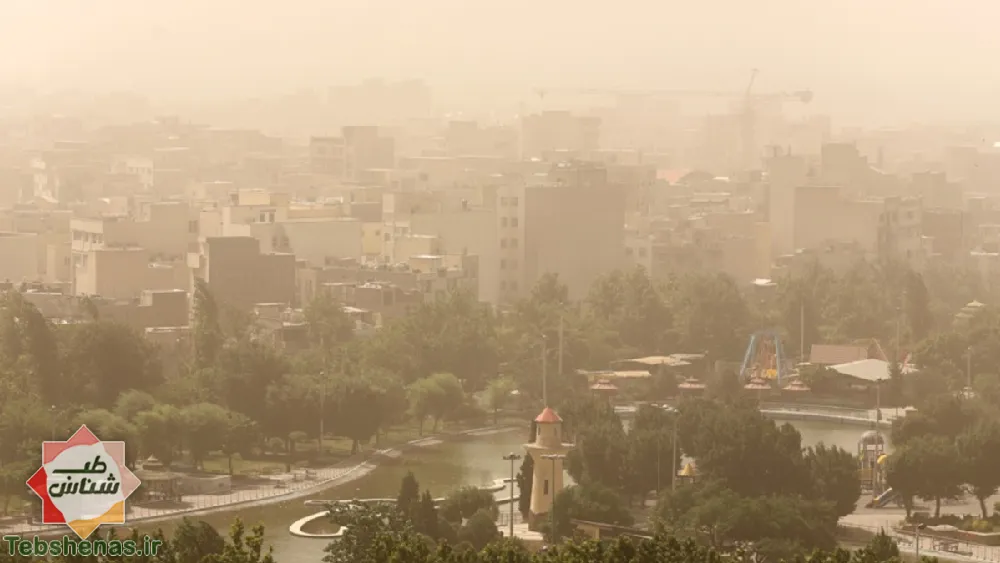 مبارزه با آلودگی هوا با طب سنتی
