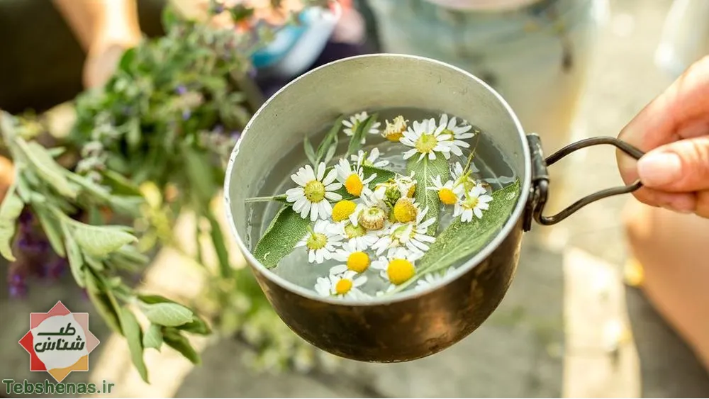 طبع و خواص عرق بابونه در طب سنتی|طبع عرق بابونه