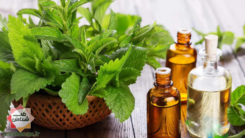 طبع و خواص عرق بادرنجبویه در طب سنتی||طبع عرق بادرنجبویه