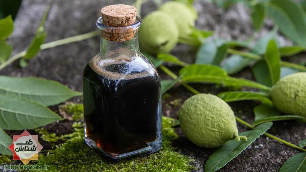 طبع و خواص عرق برگ گردو در طب سنتی ایرانی و اسلامی|طبع عرق برگ گردو