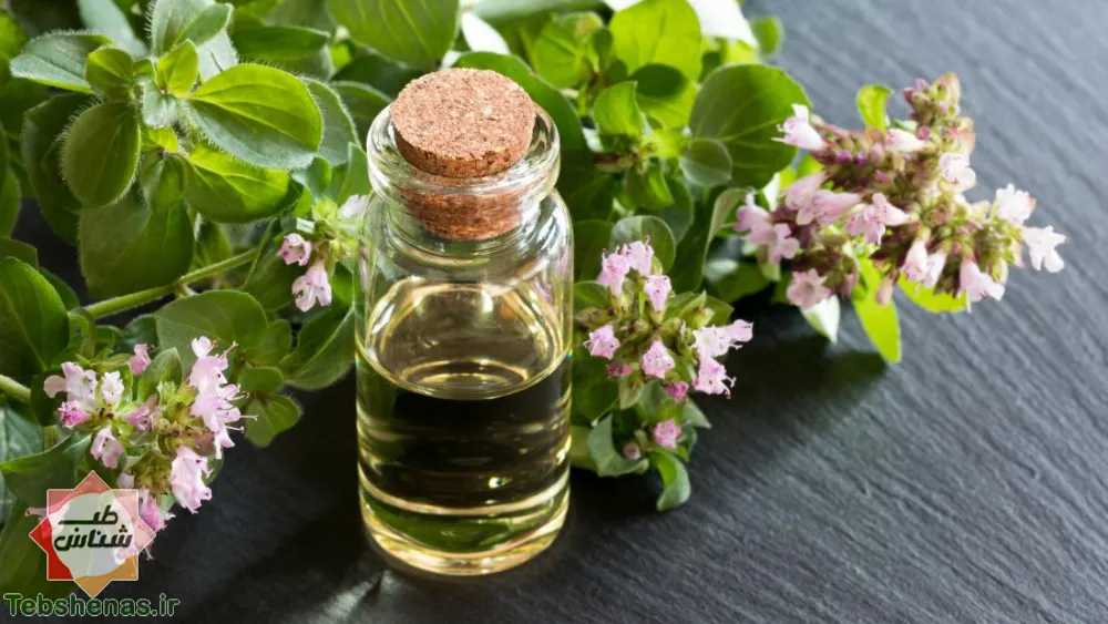 طبع و خواص عرق پونه در طب سنتی|طبع عرق پونه