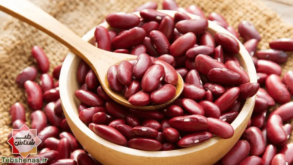 طبع و خواص لوبیا قرمز در طب سنتی ایرانی و اسلامی|طبع لوبیا قرمز در طب سنتی