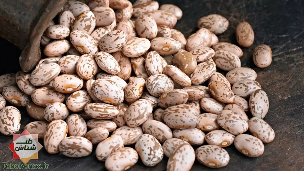 طبع و خواص لوبیا چیتی در طب سنتی ایرانی و اسلامی|طبع لوبیا چیتی