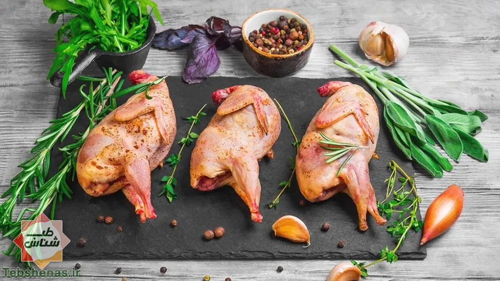 طبع و خواص گوشت کبوتر|طبع گوشت کبوتر