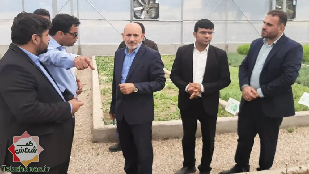 گلستان قطب گیاهان دارویی کشور