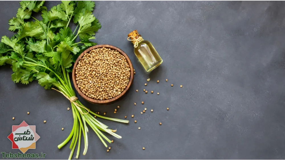 طبع عرق گشنیز در طب سنتی|طبع عرق گشنیز