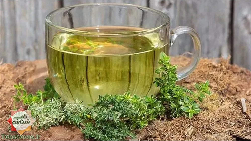 طبع و خواص عرق خارخاسک در طب سنتی|طبع عرق خارخاسک