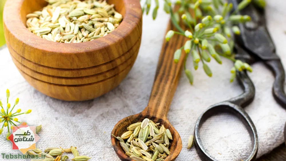 طبع و خواص عرق رازیانه در طب سنتی+ مضرات و مصلح|طبع عرق رازیانه