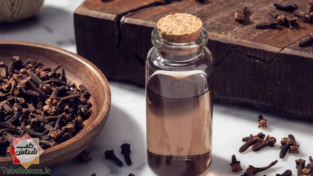 طبع و خواص عرق میخک در طب سنتی|طبع عرق میخک