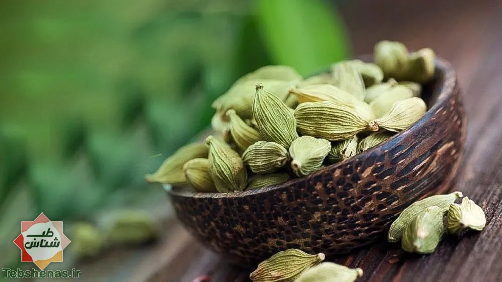 طبع و خواص عرق هل در طب سنتی|طبع عرق هل