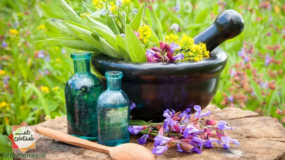 طبع و خواص عرق کاسنی در طب سنتی|طبع عرق کاسنی