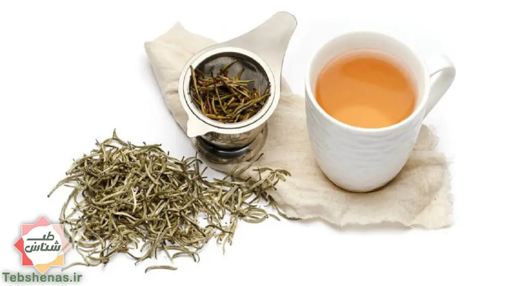 طبع چای سفید در طب سنتی + 12 خاصیت چای سفید|طبع چای سفید