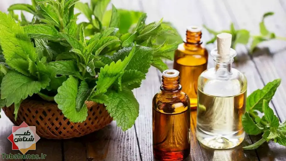 خواص و طبع عرق گزنه در طب سنتی + 12 خاصیت فوق العاده عرق گزنه|طبع عرق گزنه