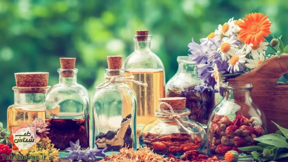 طبع و خواص هفت عرق قلب در طب سنتی + 8 خاصیت هفت عرق قلب|هفت عرق قلب