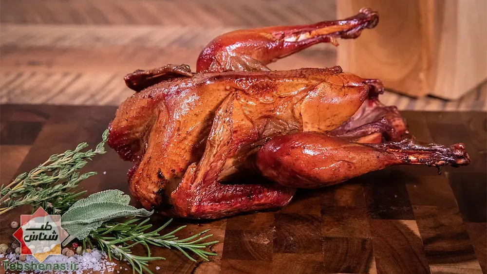 خواص و طبع گوشت قرقاول در طب سنتی + 9 خاصیت بینظیر گوشت قرقاول|طبع گوشت قرقاول