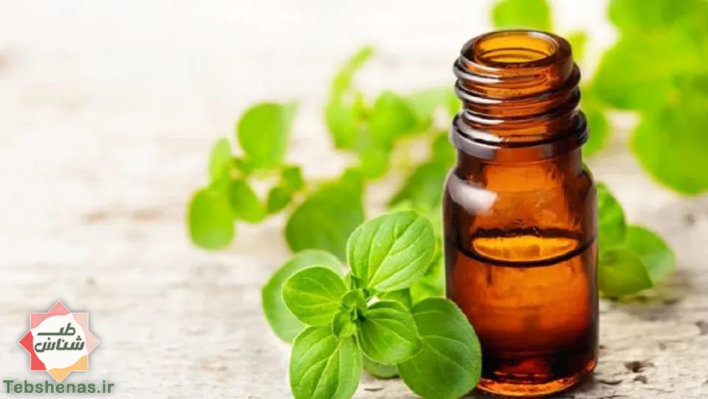طبع و خواص عرق مرزنجوش در طب سنتی|طبع عرق مرزنجوش