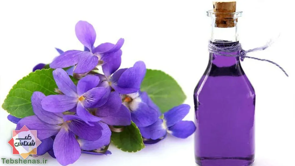 طبع و خواص عرق گل گاوزبان در طب سنتی|طبع عرق گل گاوزبان