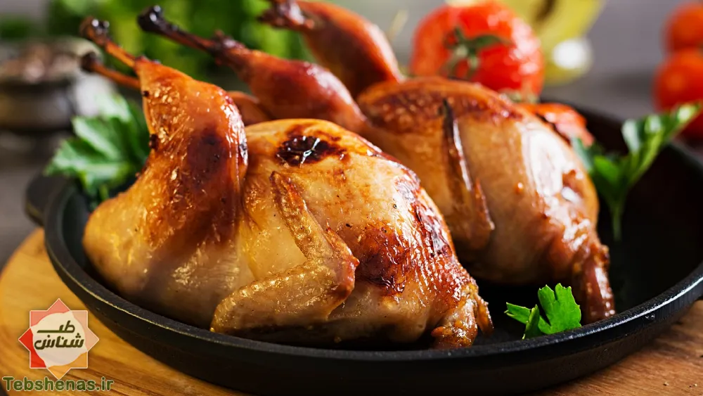 طبع و خواص گوشت کبک در طب سنتی|طبع گوشت کبک