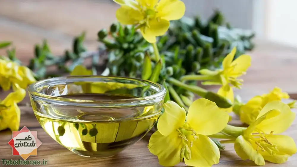 طبع و خواص گل مغربی در طب سنتی + 10 خاصیت فوق العاده گل مغربی