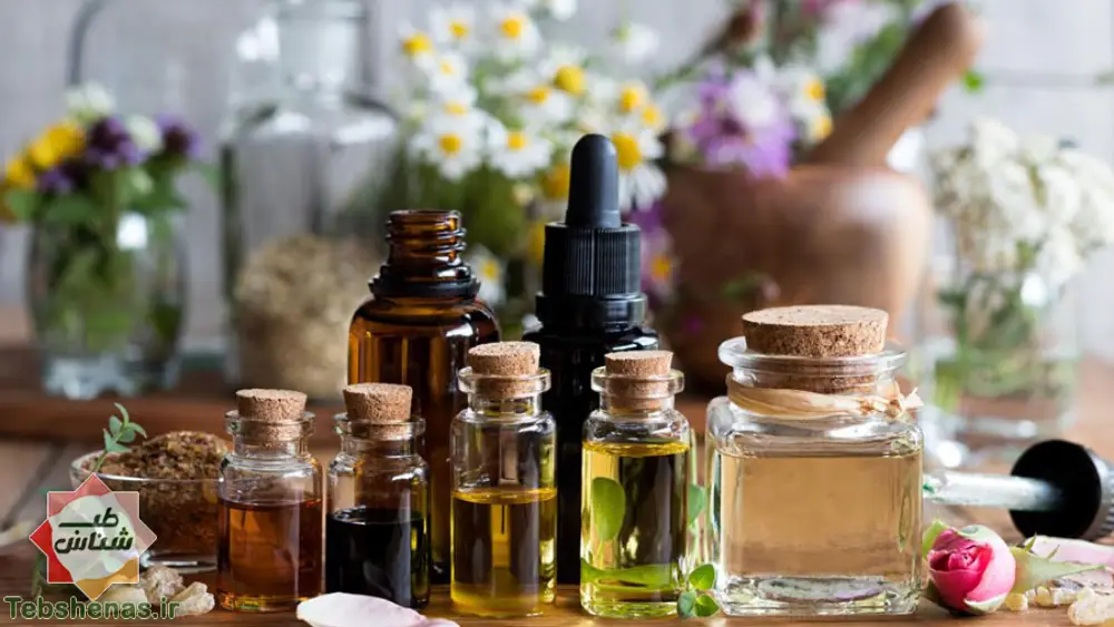 راه های از بین بردن کک در منزل + 4 روش قطعی برای از بین بردن کک|فراری دادن کک